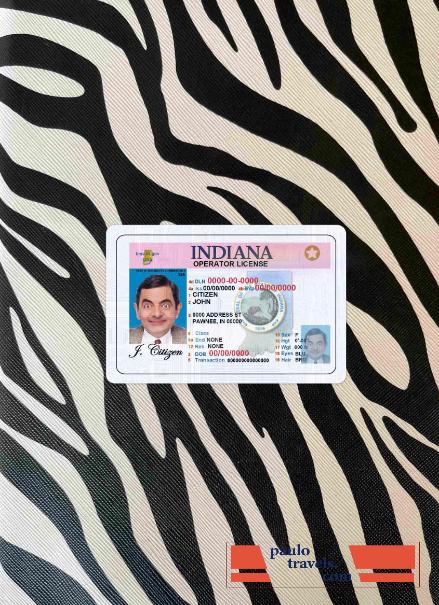 USA Indiana DL photolook FRONT PSD template